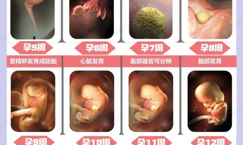 瓶装咖啡有用吗-瓶装咖啡的口感区别吗网瓶装咖啡饮料品牌排行榜知识网站,分享瓶装咖啡饮料品牌排行榜大全